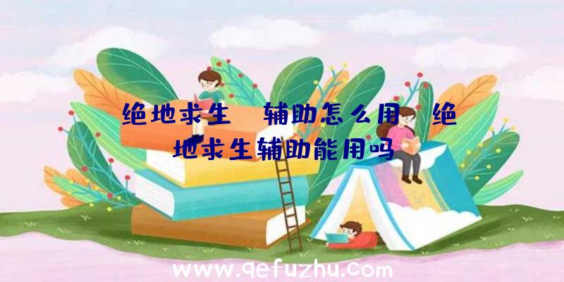 「绝地求生sk辅助怎么用」|绝地求生辅助能用吗